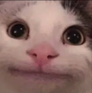 Meet your Posher, Tᗩtᗴᖇ